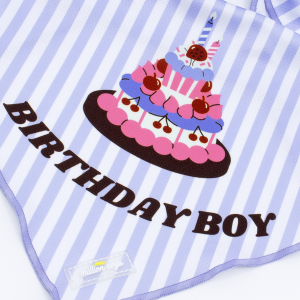 Cooling Dog bandana - Birthday boy cake with blue stripe made by Million Dogs