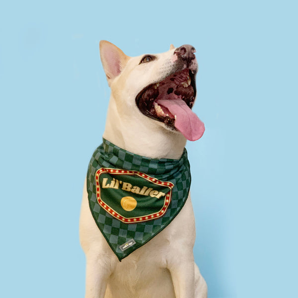 White dog wearing cooling bandana it says lil' baller