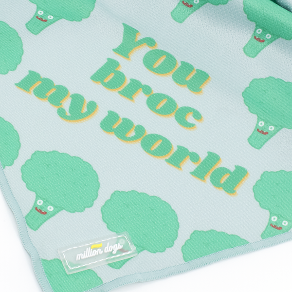 Dog cooling bandana with broccoli design made by Million Dogs