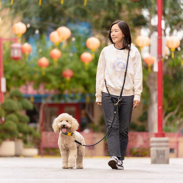 Million Dogs Black Hands Free Rope Leash