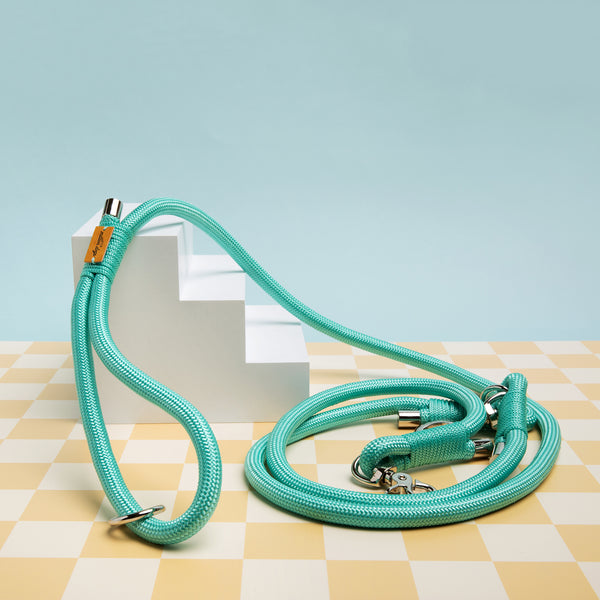 Million Dogs Tiffany Mint Hands Free Rope Dog Leash