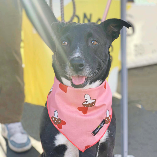Mushroom dog bandana by Million Dogs