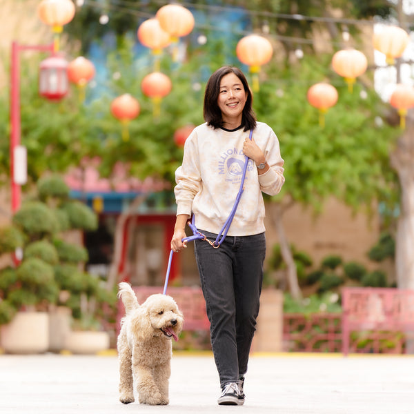 Million Dogs Purple Very Peri color Hands Free Rope Dog Leash