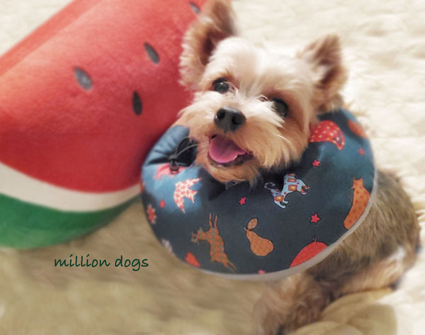 Yorkshire Terrier Yorkie wearing Animal Print Healing Tube-Million dogs