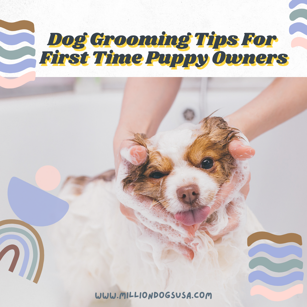 Dog Grooming Tips For First Time Puppy Owners