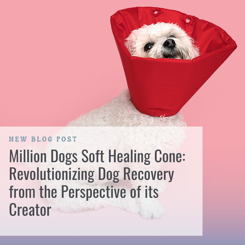 Million Dogs Soft Healing Cone: Revolutionizing Dog Recovery from the Perspective of its Creator