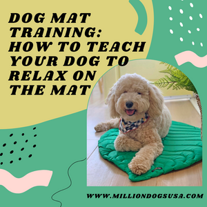 Dog Mat Training: How to teach Your Dog to Relax on the Mat