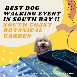 Best Dog Walking Event in South Bay | South Coast Botanical Garden
