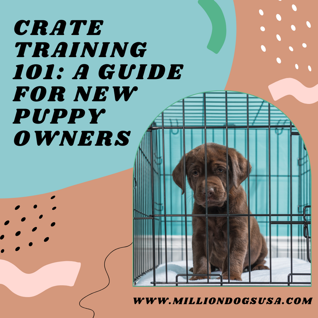 Crate Training 101: A Guide for New Puppy Owners