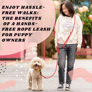 Enjoy Hassle-Free Walks: The Benefits of a Hands-Free Rope Leash for Puppy Owners