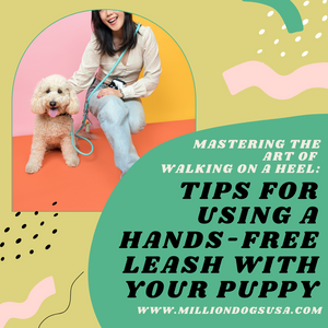 Mastering the Art of Walking on a Heel: Tips for Using a Hands-Free Leash with Your Puppy
