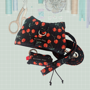 Craft Your Own Dog Harness, Leash and Poop Bag Pouch: Join Our Sewing Class in San Pedro, CA