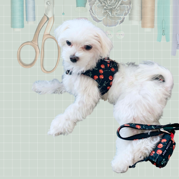 Craft Your Own Dog Harness, Leash and Poop Bag Pouch: Join Our Sewing Class in San Pedro, CA