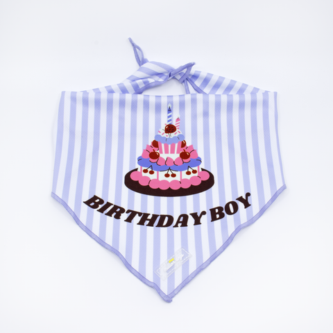 Cooling Dog bandana - Birthday boy cake with blue stripe made by Million Dogs