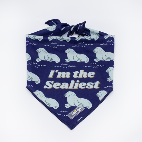 Dog cooling bandana - I'm the Sealiest. Made for silly dogs who likes seals.