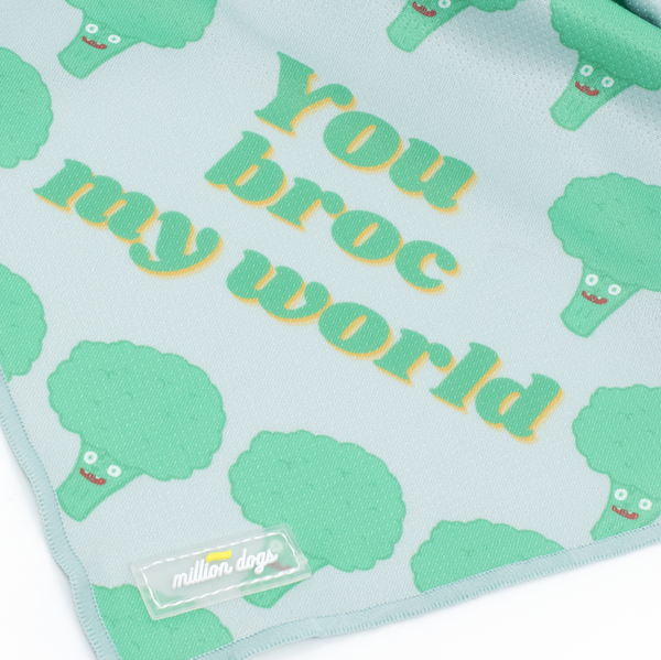 Dog cooling bandana with broccoli design made by Million Dogs