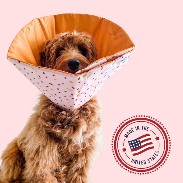 Brown Golden doodle is wearing Million Dogs Pink Terrazzo Anxiety Free Comfortable Healing Cone