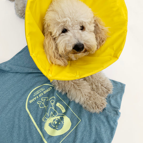 Unisex Million Dogs Heather Mint Graphic T-Shirts