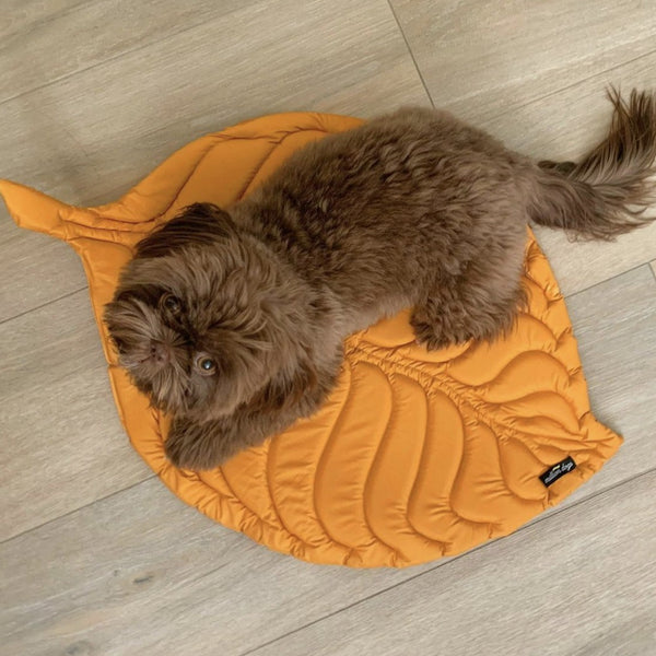 Brown color shih tzu seating on the handcrafted high quality dog play leaf mat