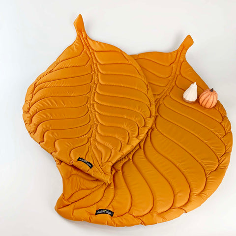 Orange Fall leaf mat for dogs