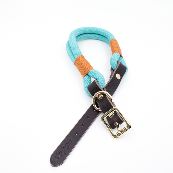 Mint color climbing rope leather dog collar by Million Dogs