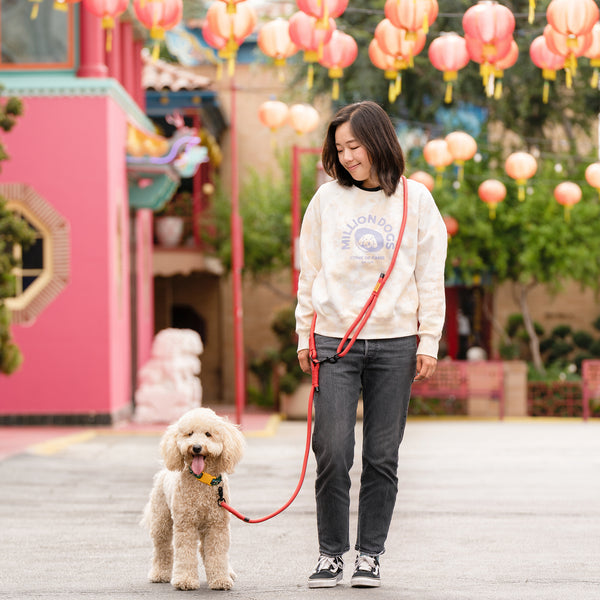 Million Dogs Red Hands Free Rope Dog Leash