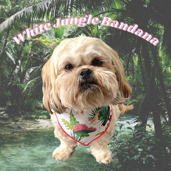 Shitzu wearing White Jungle Chetah Tiger Dog Bandana